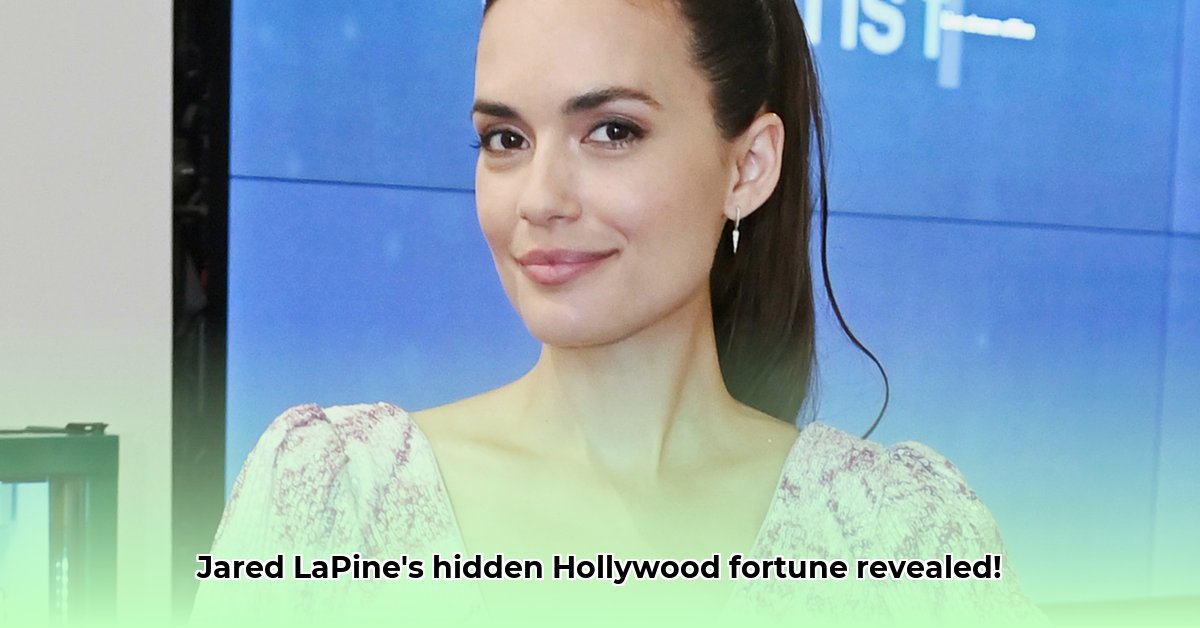 jared-lapine-net-worth